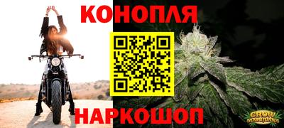 спайс Сланцы