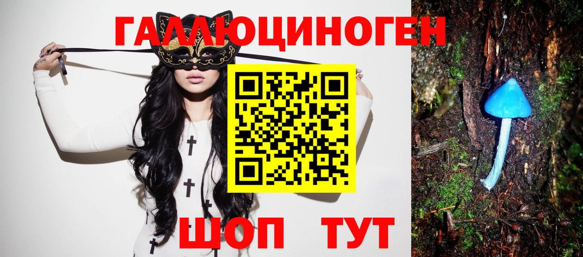 Галлюциногенные грибы мицелий  Вход с VPN  Нальчик  купить наркоту  Псилоцибиновые грибы GOLDEN TEACHER 